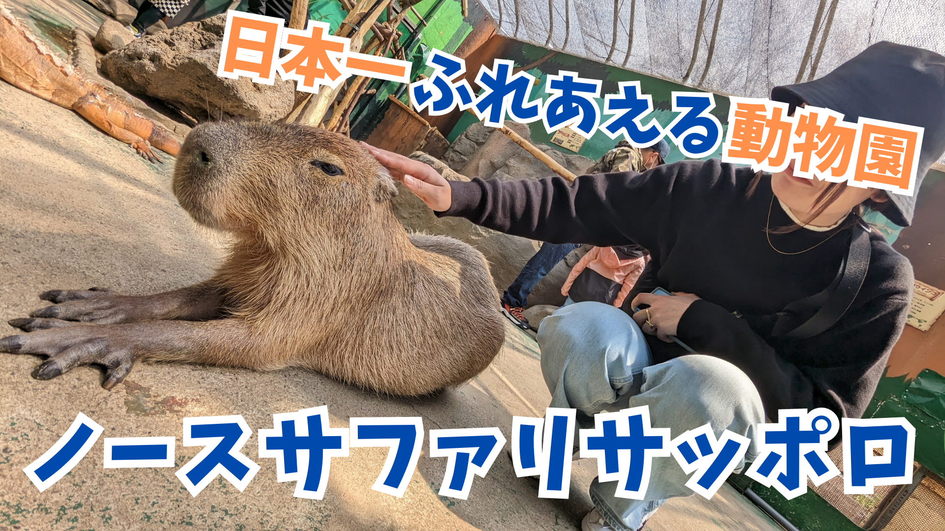 【日本一ふれあえる動物園】ノースサファリサッポロに行ってみた