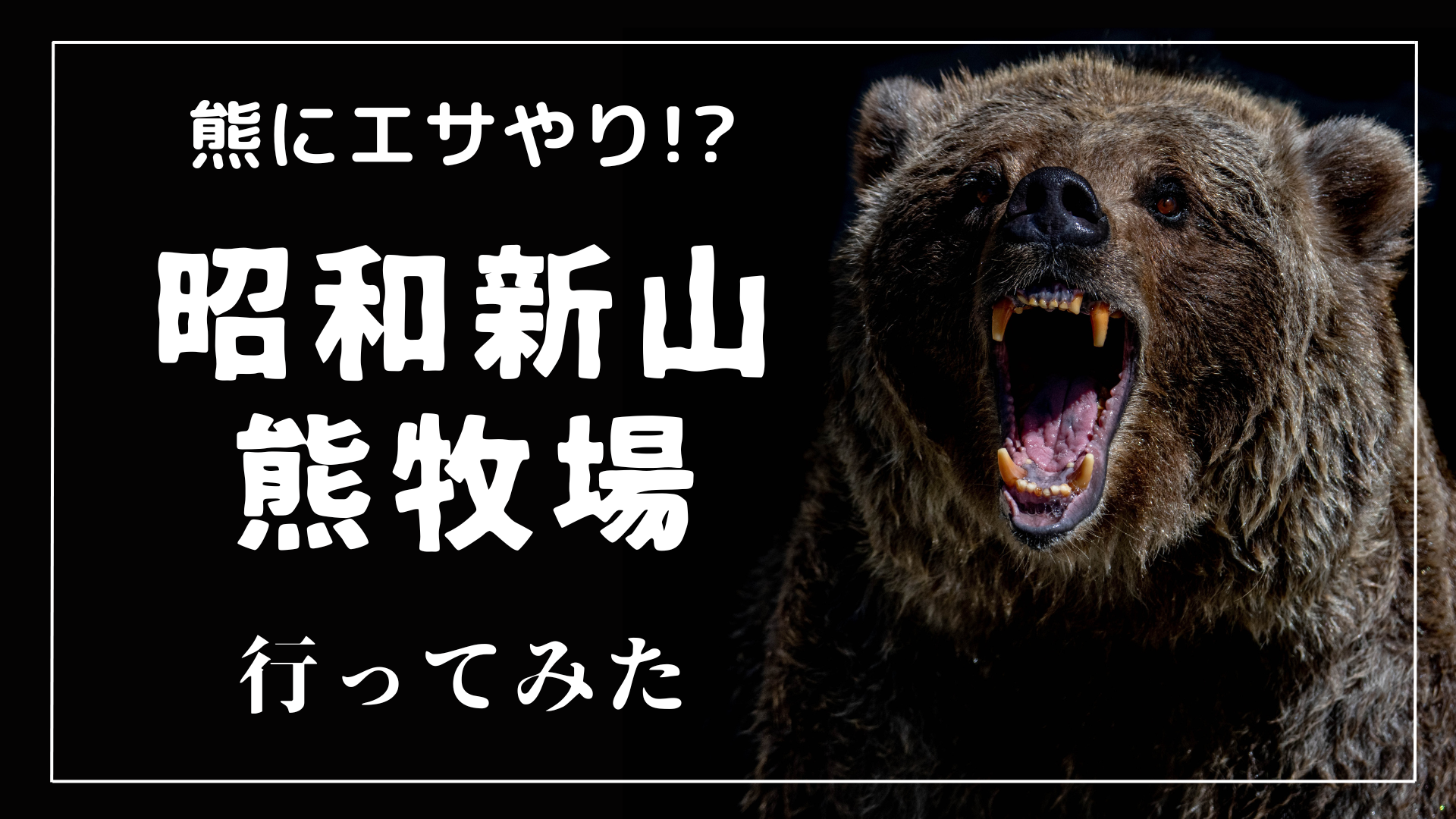 北海道】熊にエサやり！昭和新山熊牧場に行ってみた - のんびりまわりみち